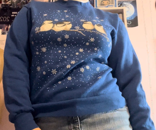 Cold water creek vintage baby birds winter Christmas sweater size small