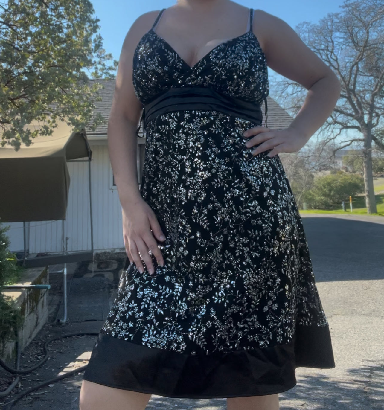 NWT finesse fairycore sparkle dress size 2X