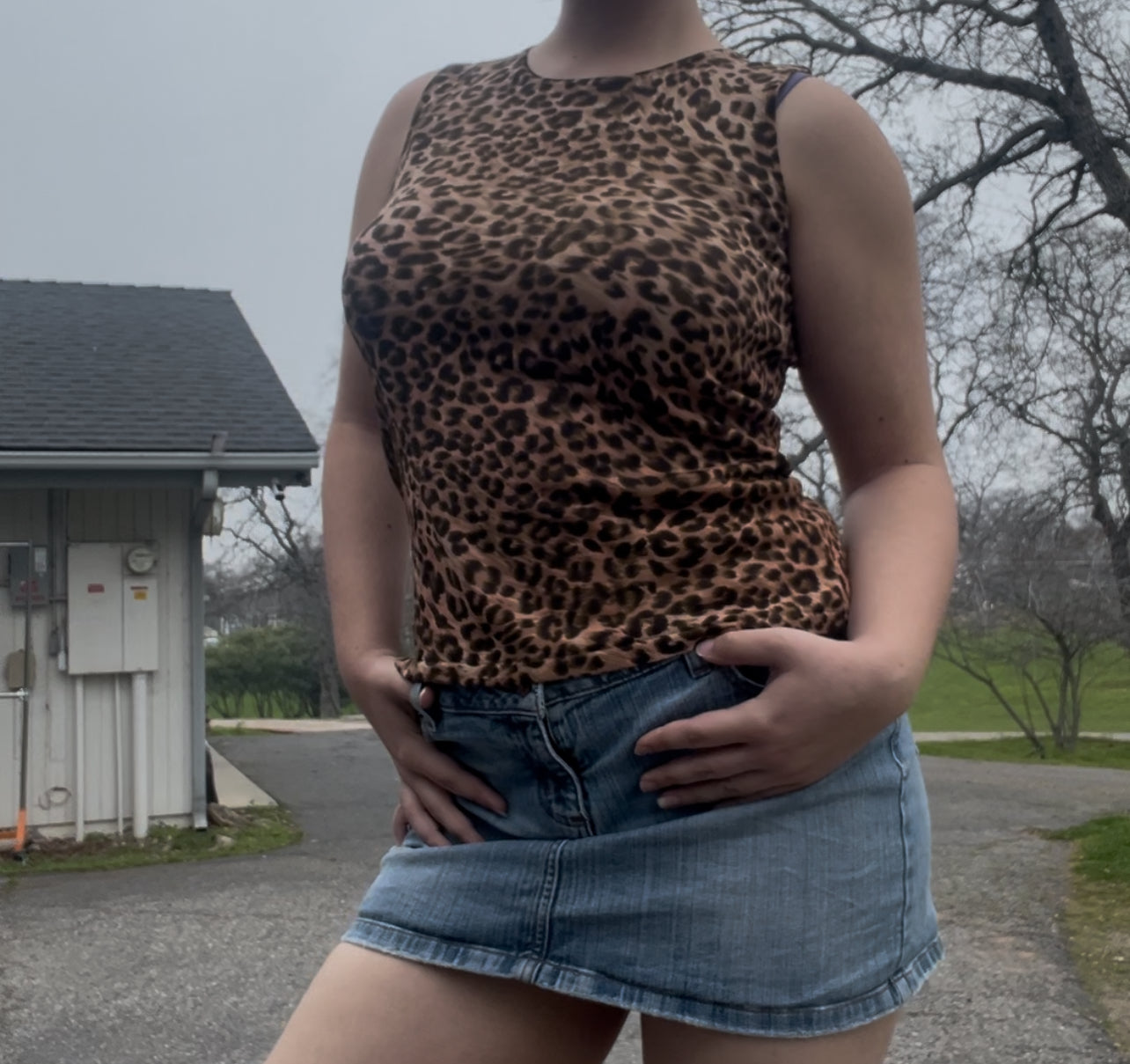 Joseph A vintage cheetah print top size medium