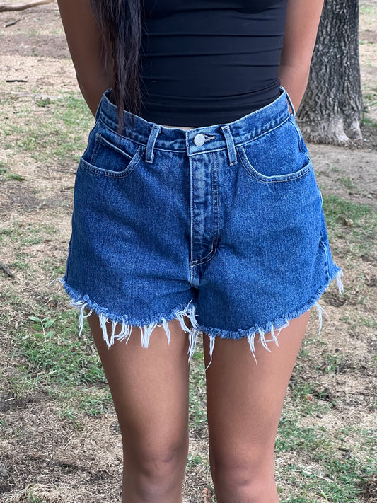 Guess vintage shorts size 26”