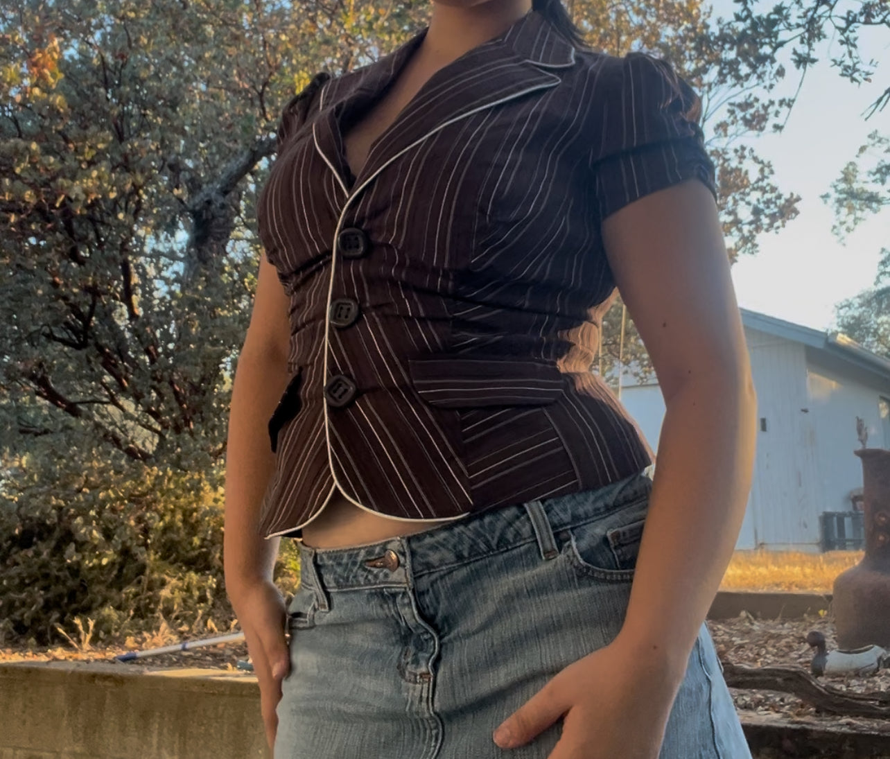 Sele vintage early 2000s y2k pinstripe brown office siren baby doll top size medium