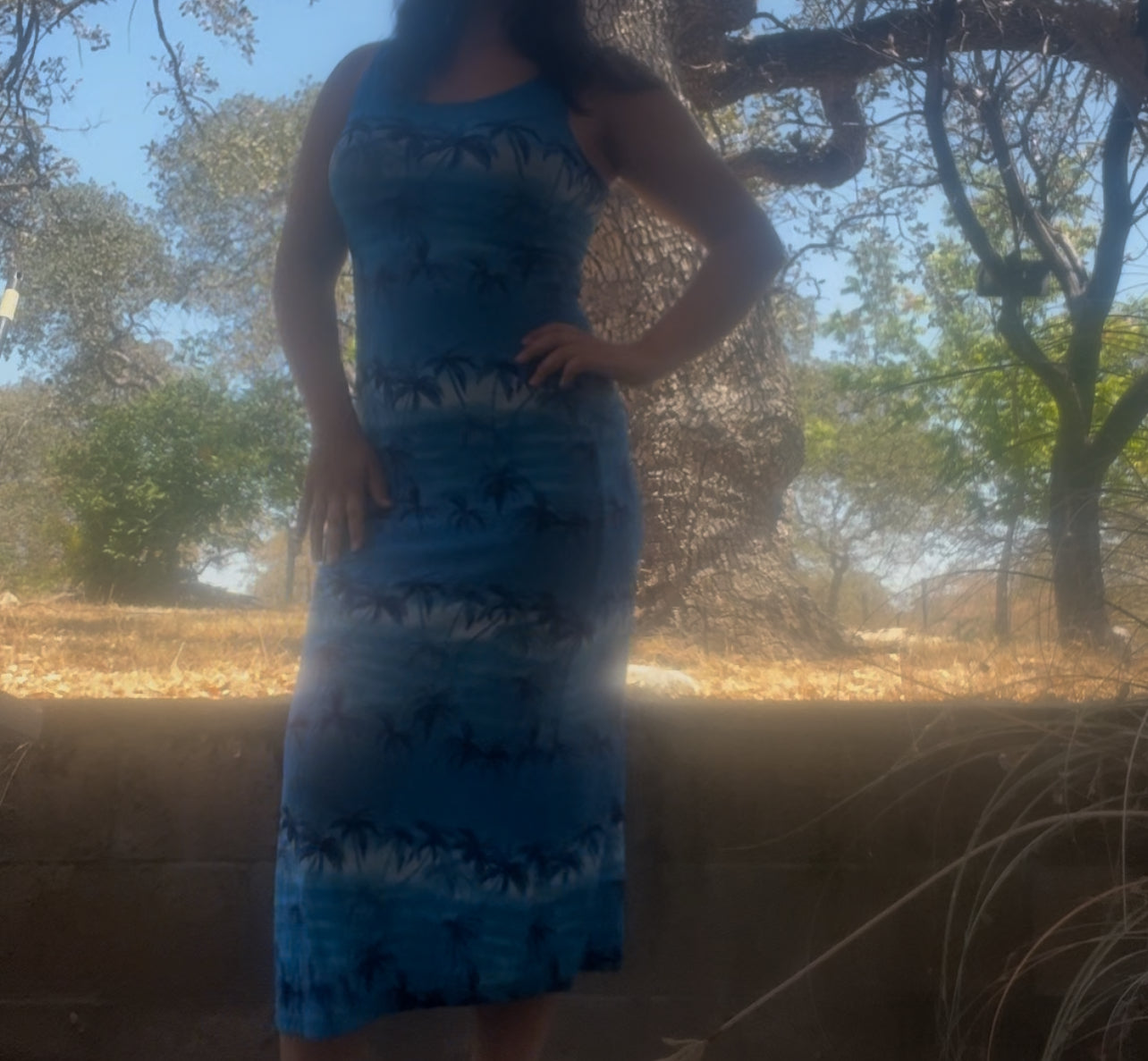 Vintage early 2000s Hawaiian summer coconut girl palm tree blue maxi dress size medium