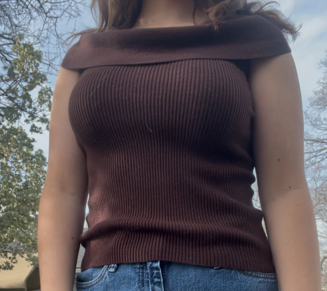 Trendy brown ribbed knit top by Allison Brittney, size Large 🤎