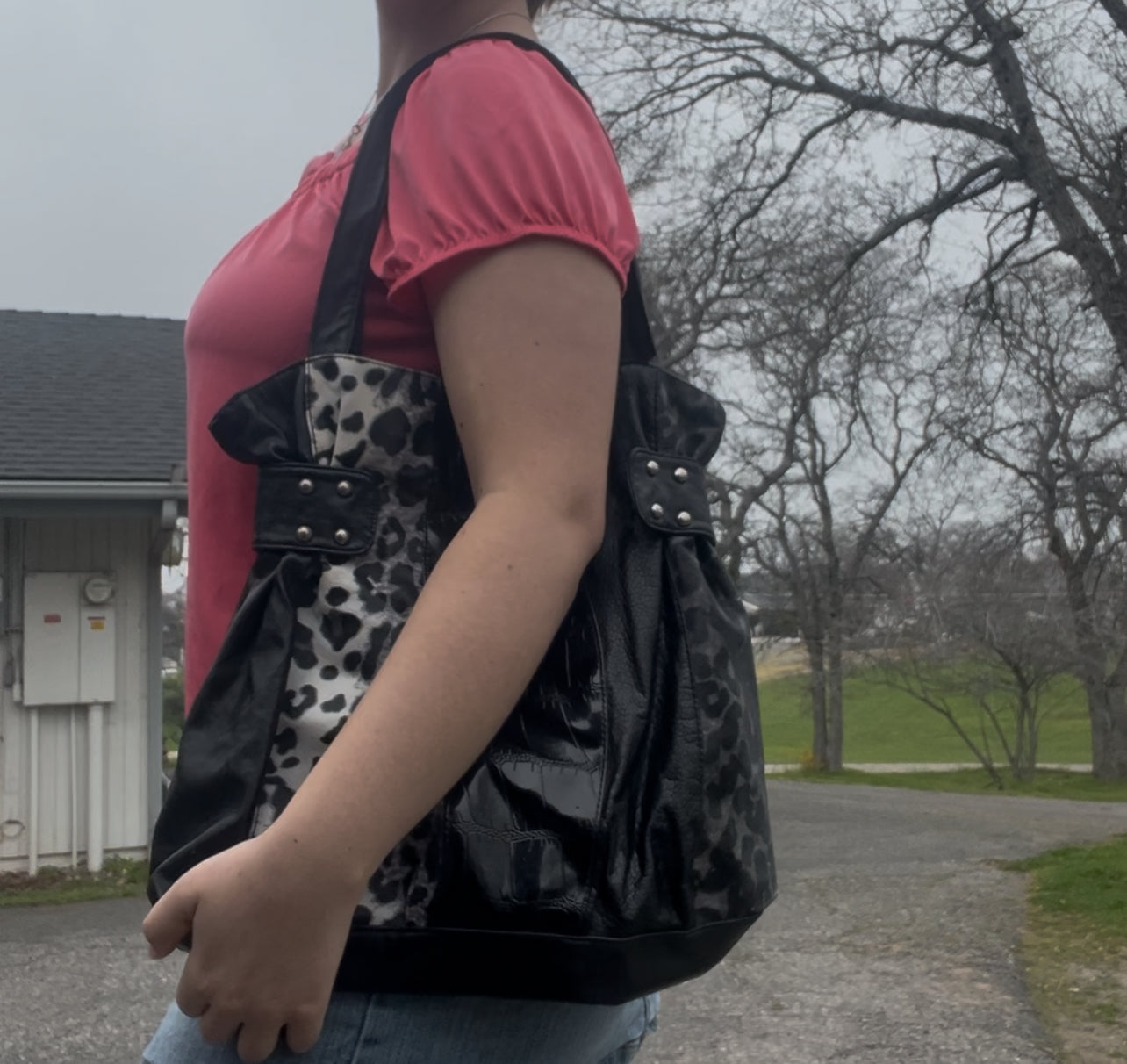 Y2k early 2000s cheetah print grunge goth handbag