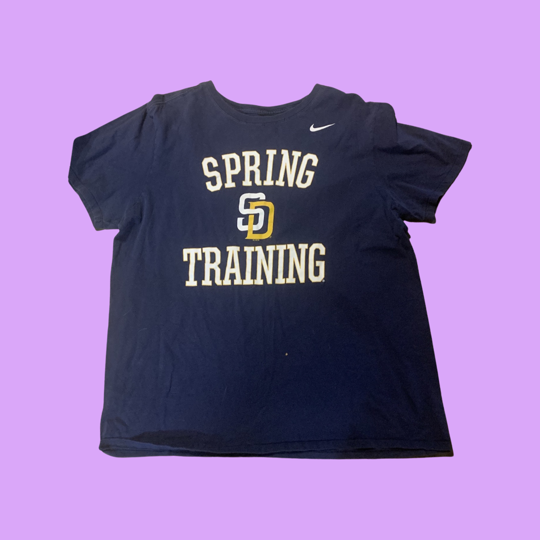 Nike spring training t-shirt mens XL