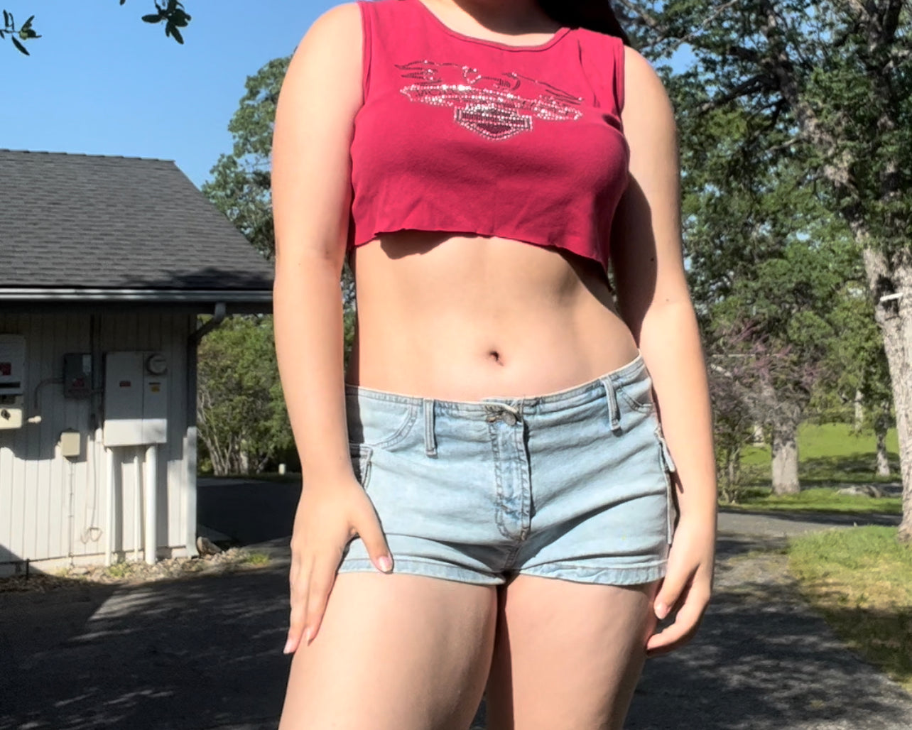 Harley Davidson red crop top size large